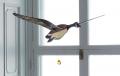 canard articule vitrail